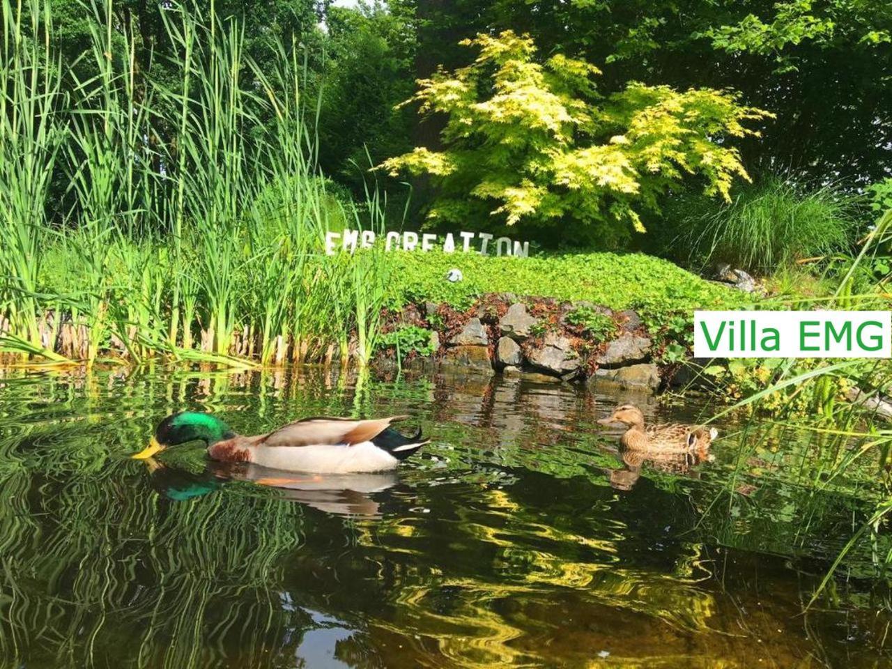 Luxury Family Holidays Villa In Emsdetten Munster Buitenkant foto