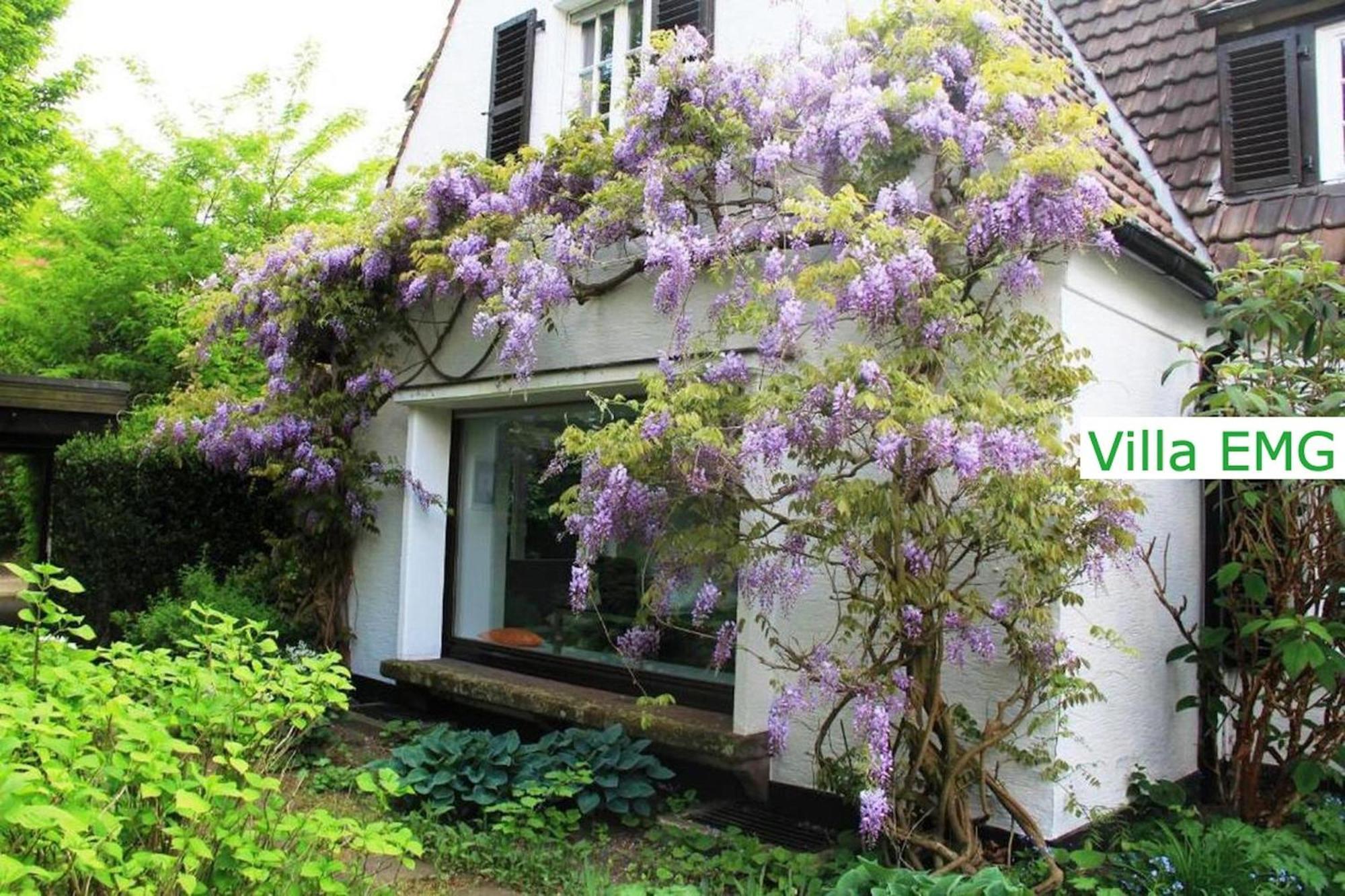Luxury Family Holidays Villa In Emsdetten Munster Buitenkant foto