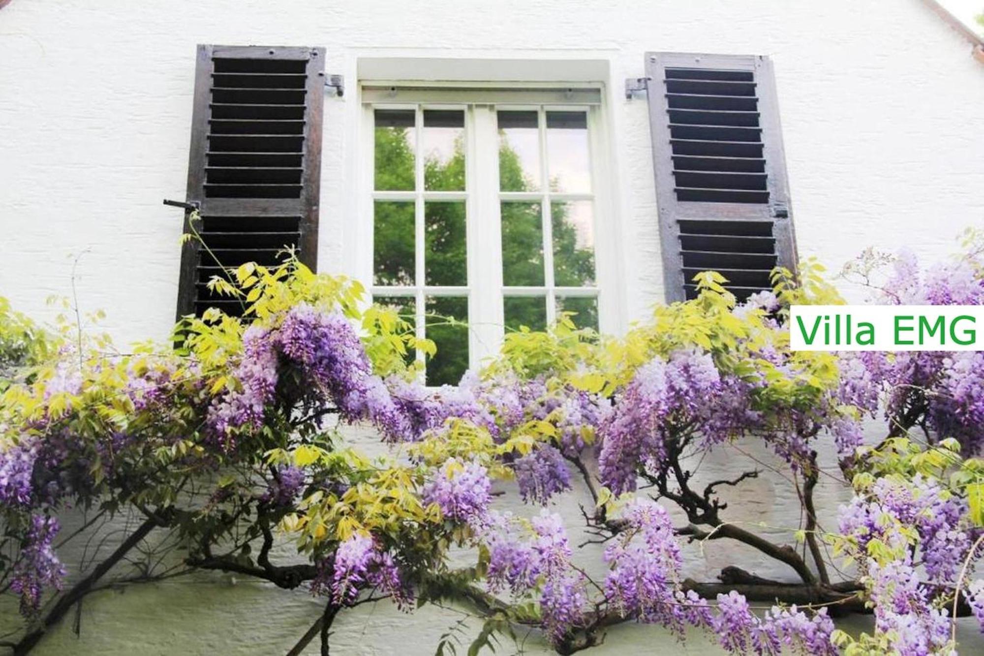 Luxury Family Holidays Villa In Emsdetten Munster Buitenkant foto